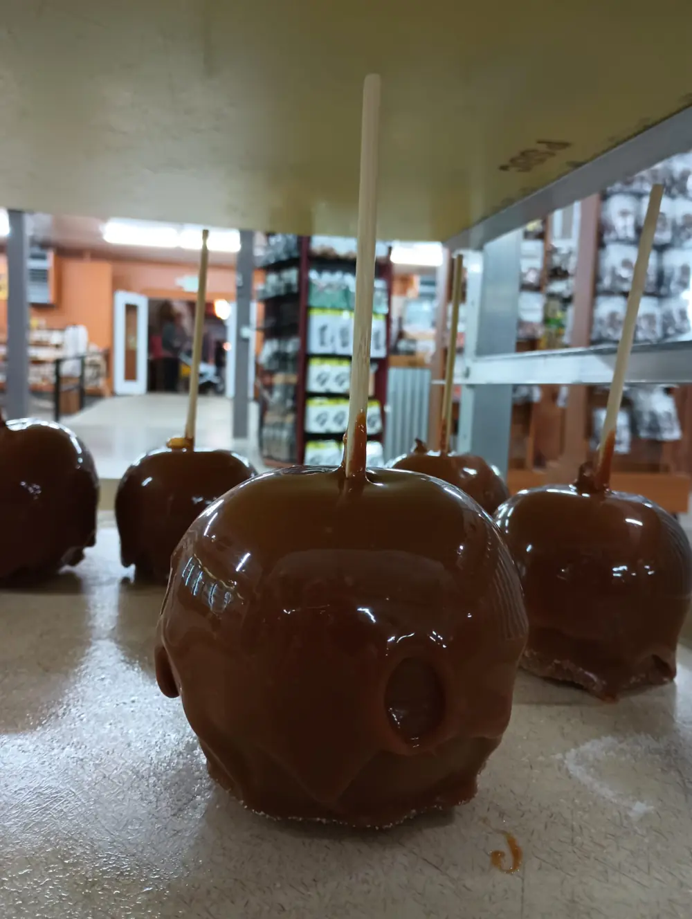 A row of glossy caramel apples on sticks