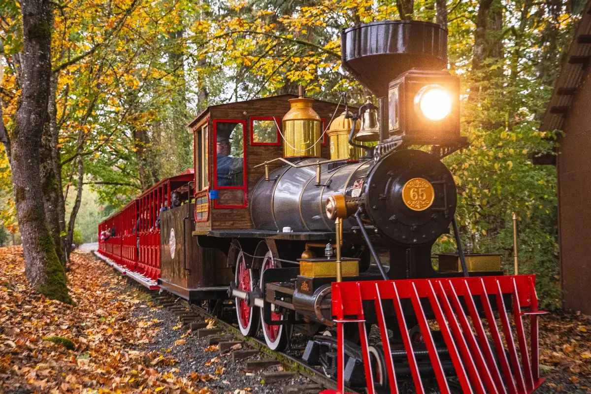 Steam locomotive number 65 pulling open cars through autumn maples