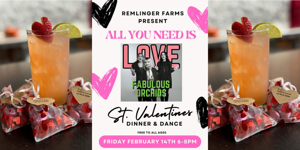 Poster for The Fabulous Orchids