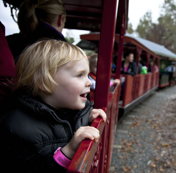 Steam Train, Tolt River RR