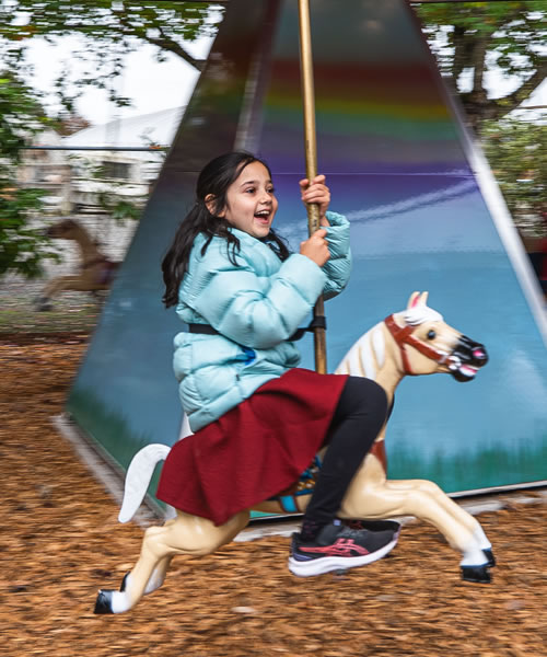Mini Carousel