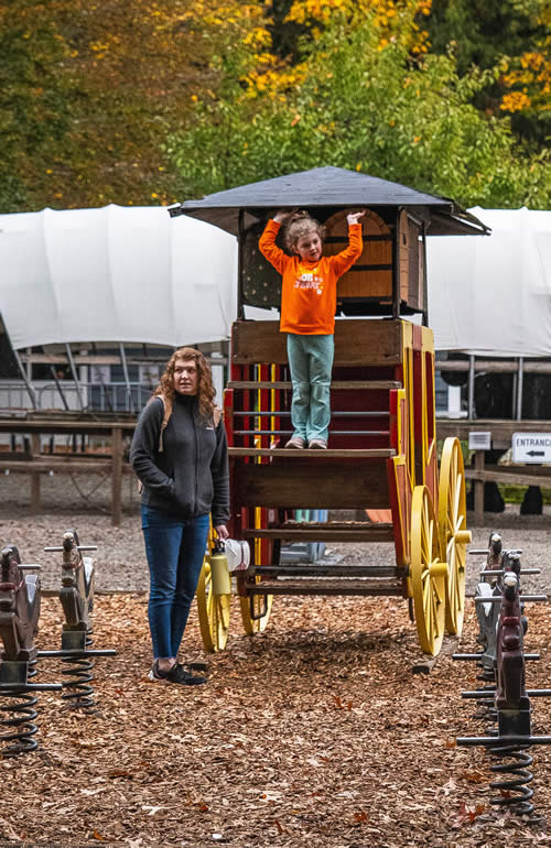 Stage Coach and Spring Horses