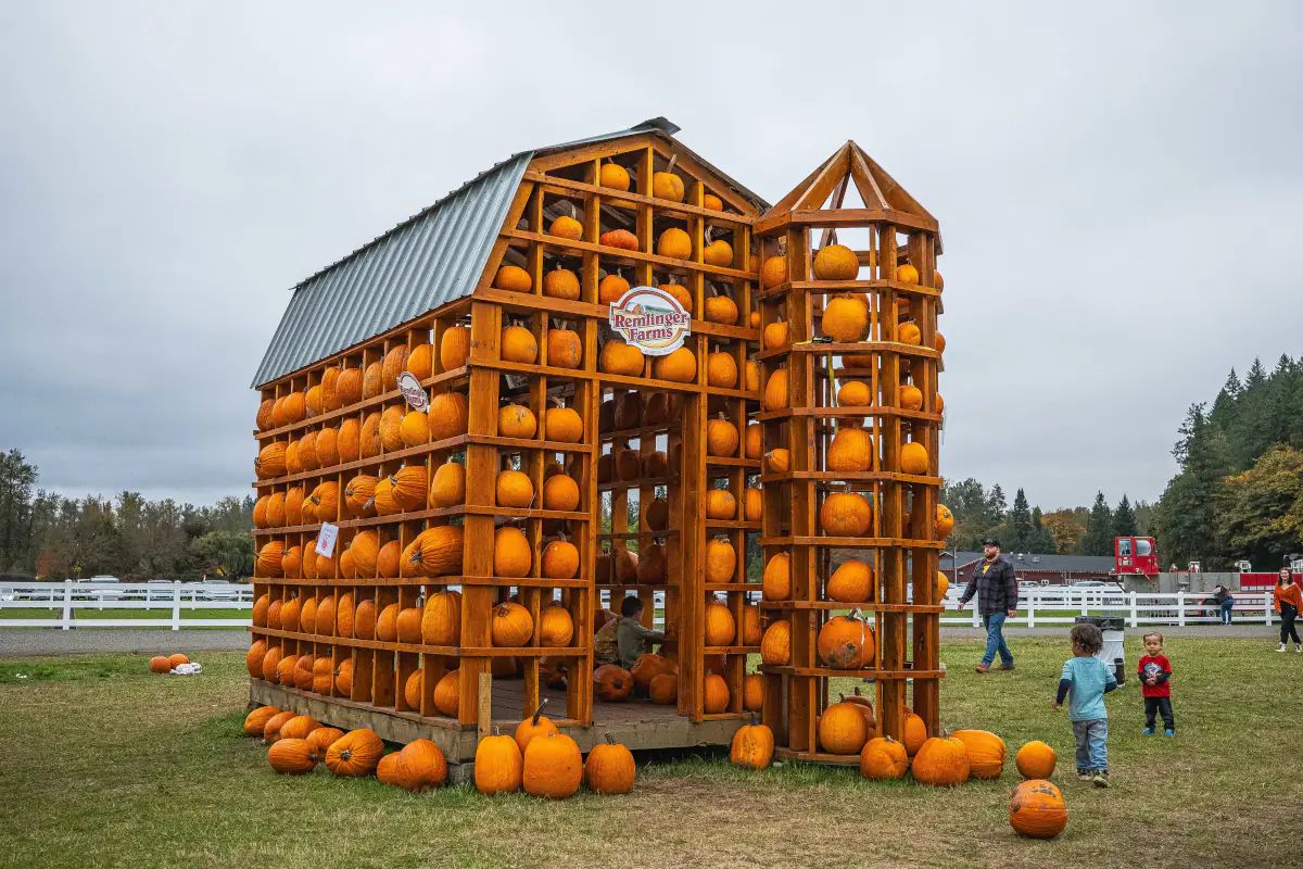 Pumpkin Village