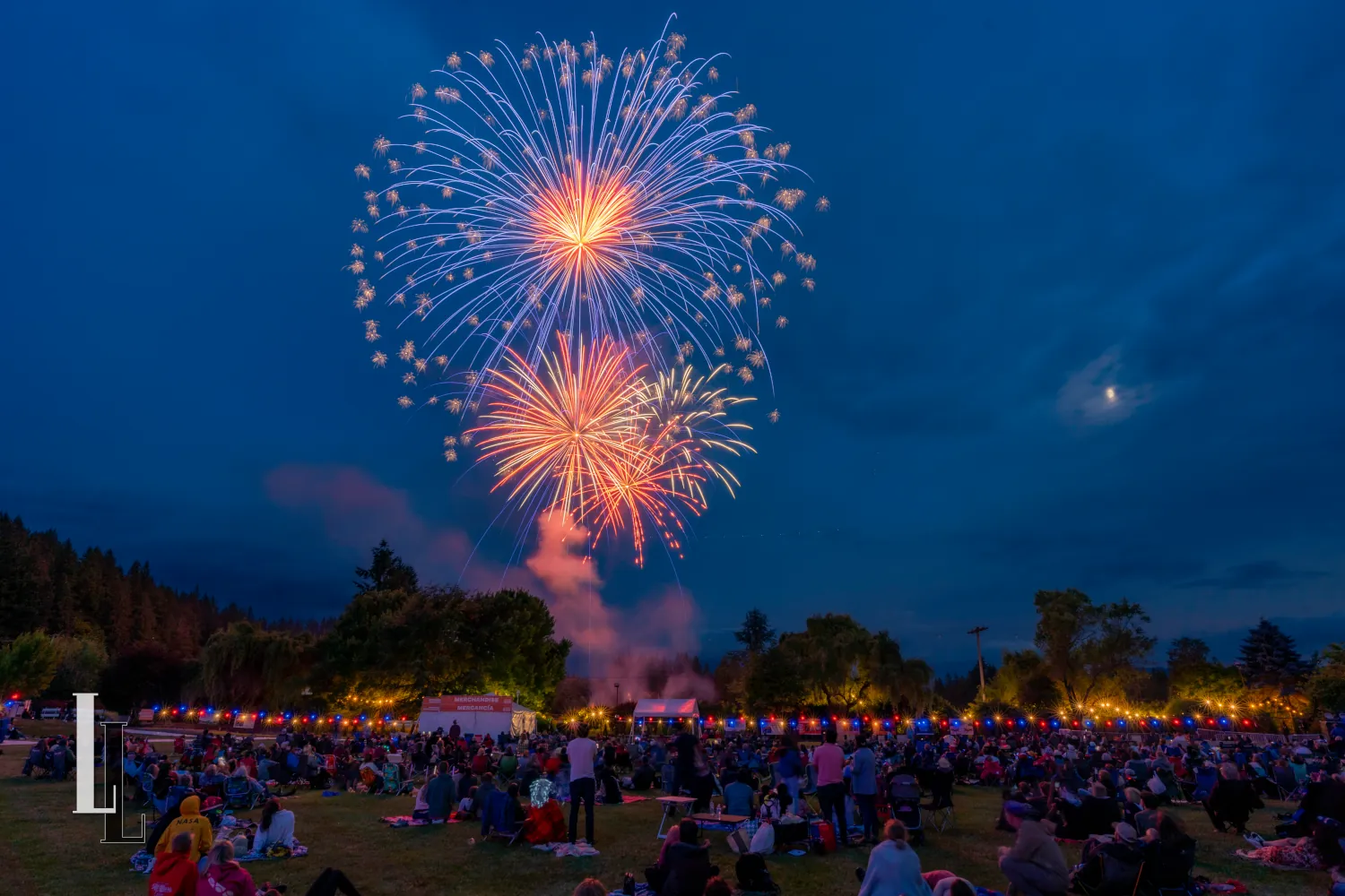 Golden willow fireworks above the string lights, 2025