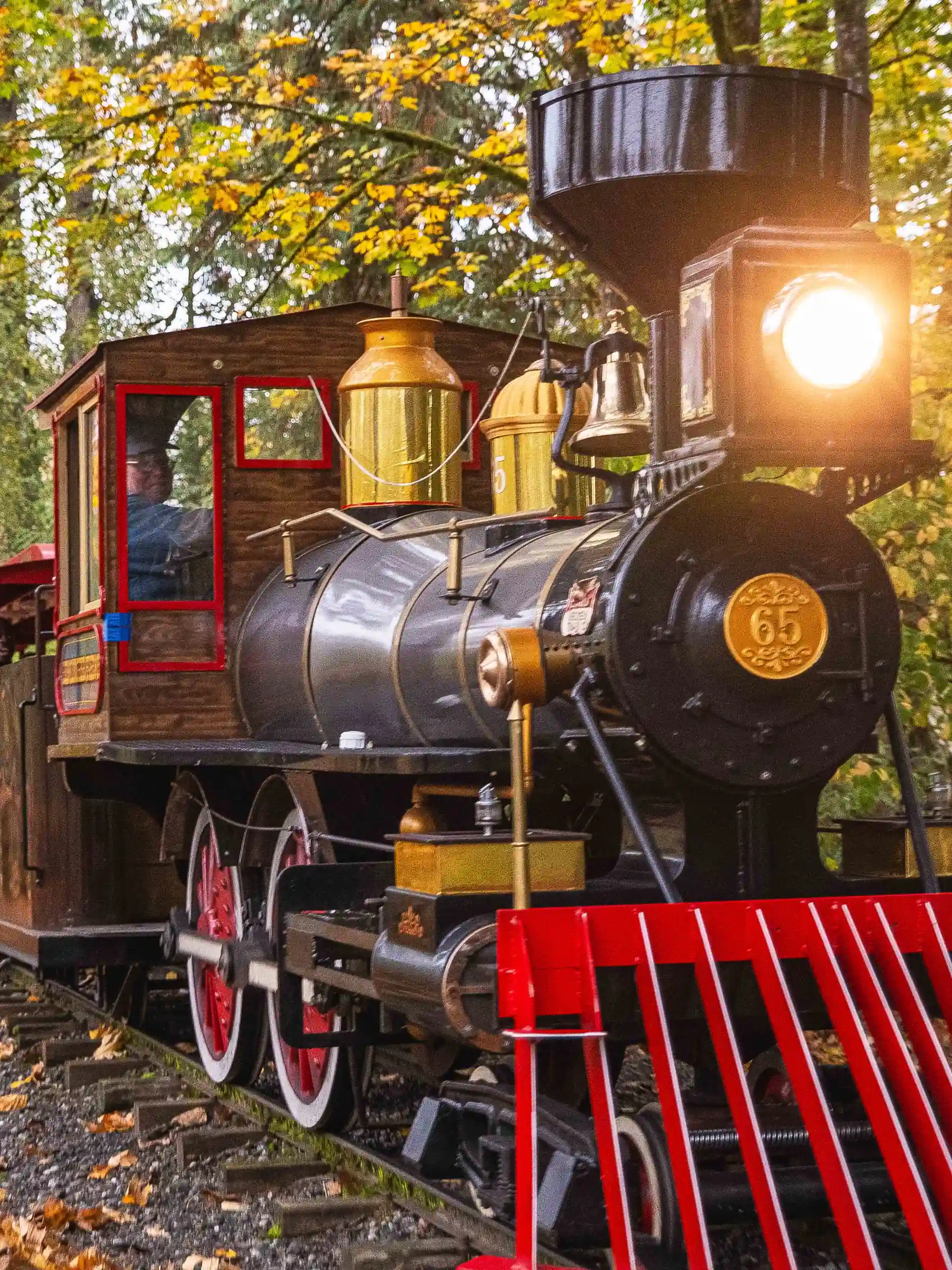 Fall Festival Admission